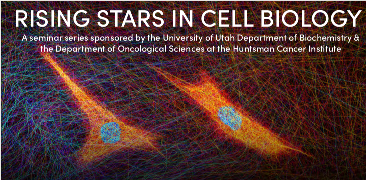 Rising Stars in Cell Biology Series