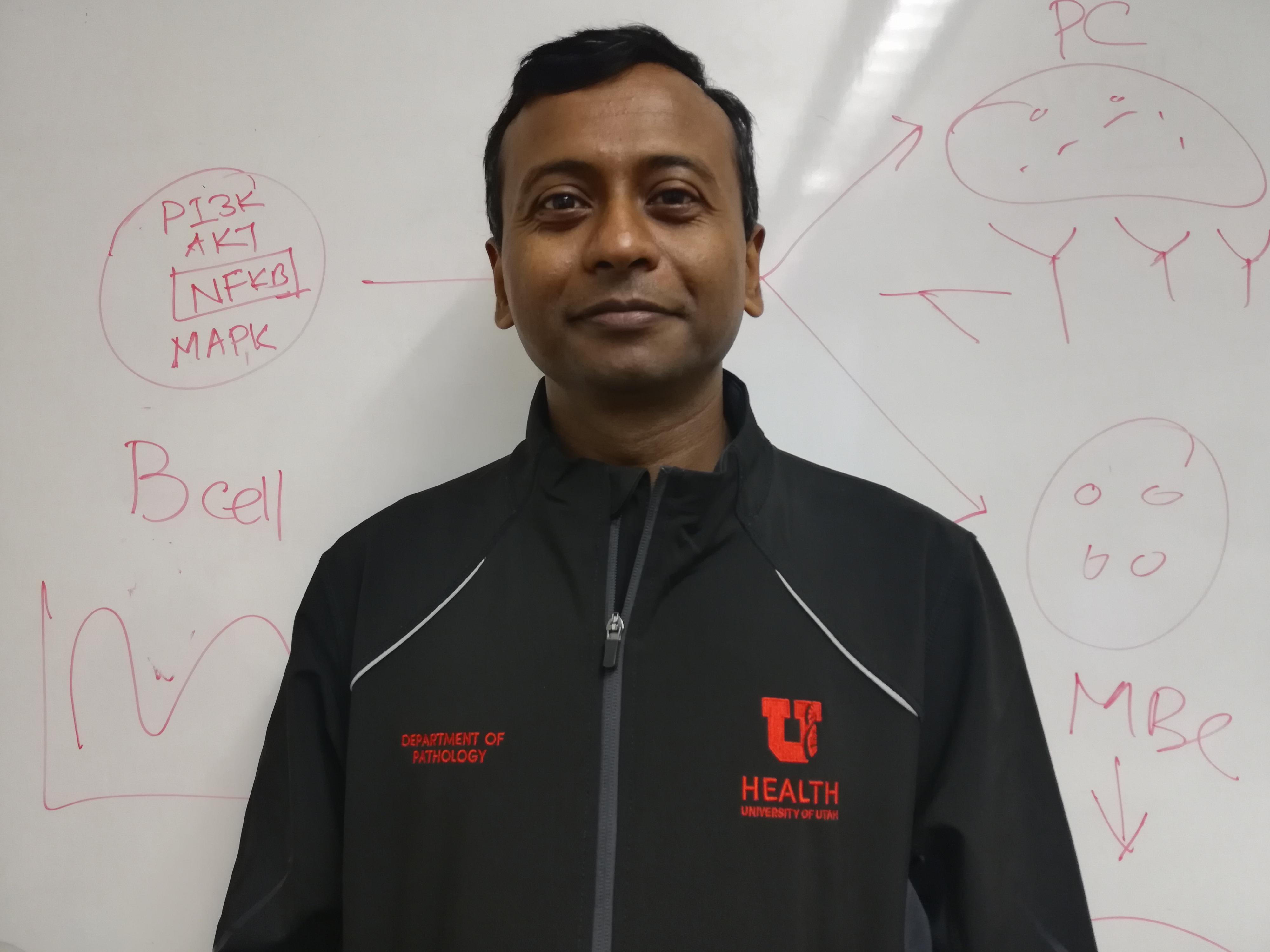 Koushik Roy, Ph.D.