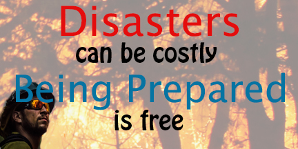 Disasters can be Costly