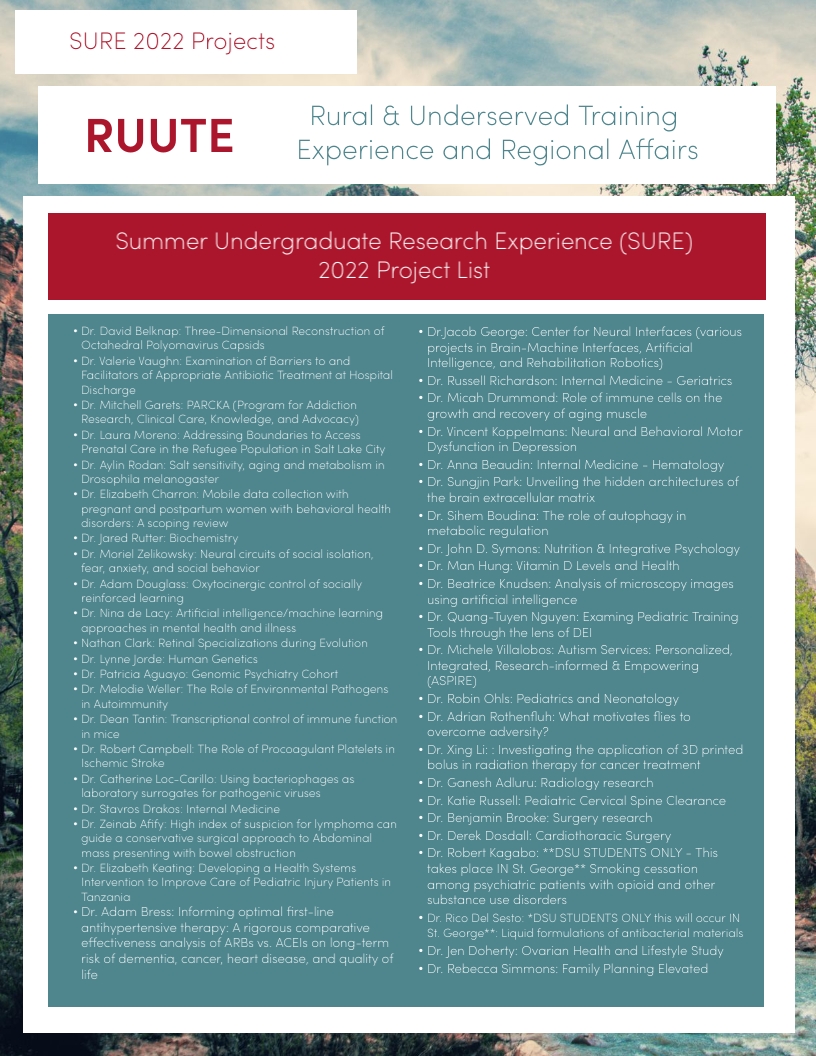 2022 RESEARCH PROJECTS