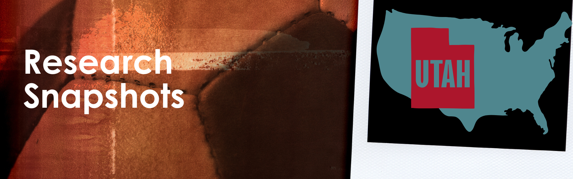 research snapshot header