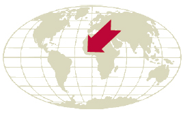 Atlas Faculty