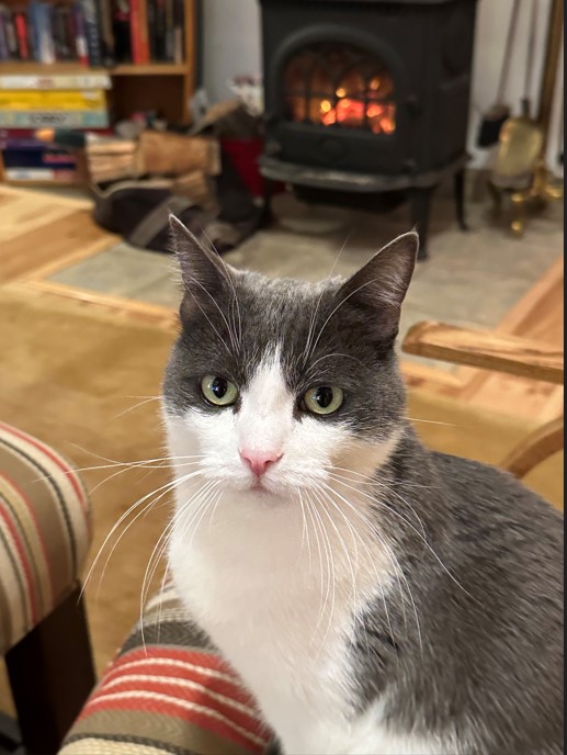 clairDRcat
