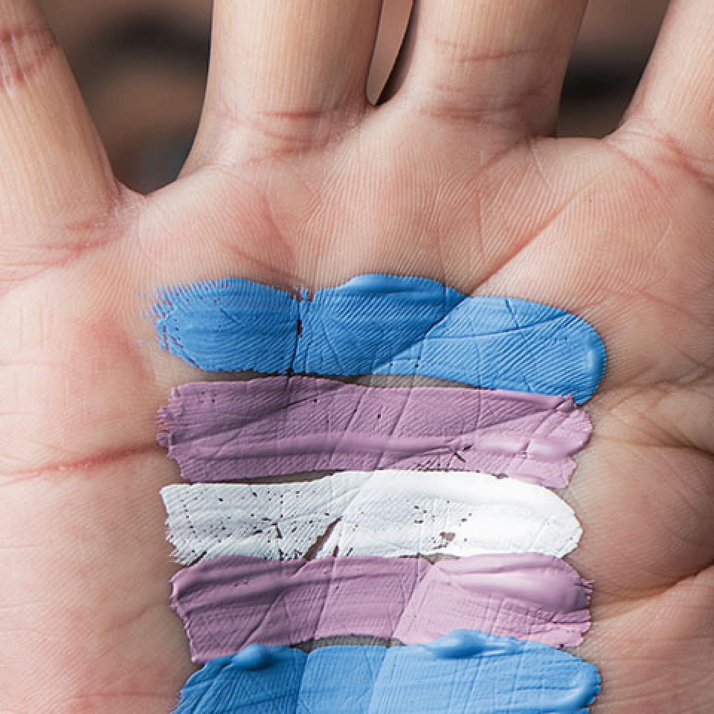 Hand painted with blue, pink, and white: Transgender Health Education Program
