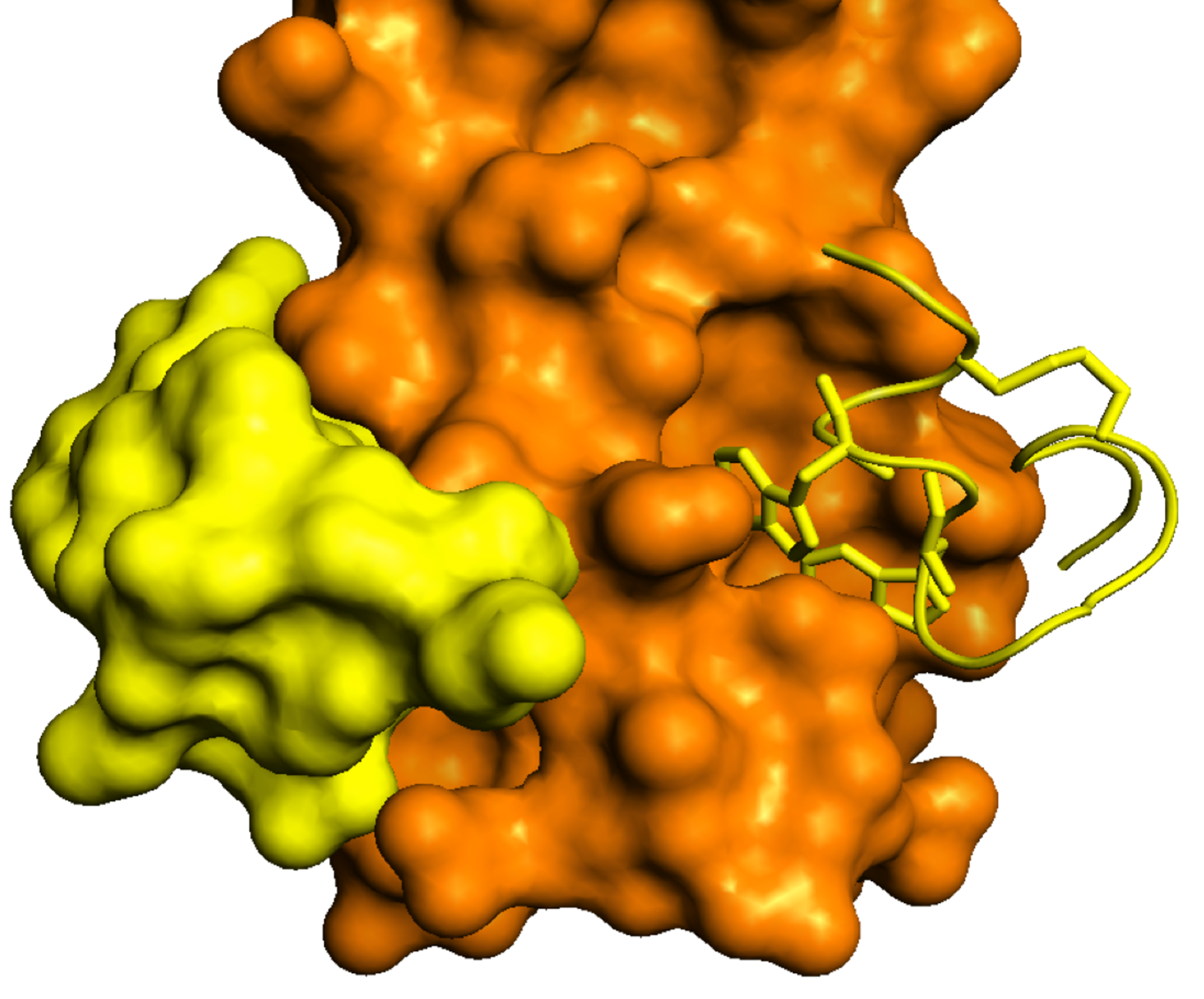 Structure showing different elements of a D-peptide inhibitor (yellow) binding to its HIV target.