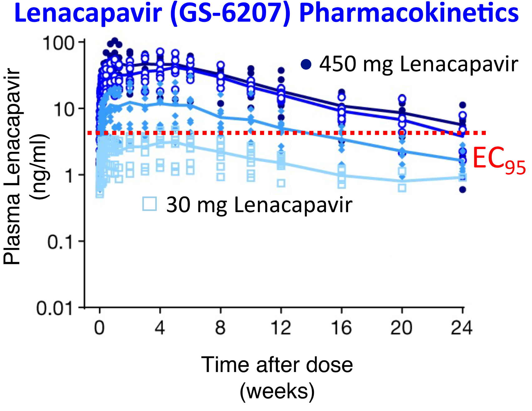 Persistence of Lenacapavir (GS-6207) in humans. The graph shows drug levels in people treated with single doses of different Lenacapavir levels. The dotted red line shows the drug level required to inhibit HIV replication by 95%. The highest levels of Lenacapavir maintain inhibitory levels for more than 24 weeks and are well tolerated.