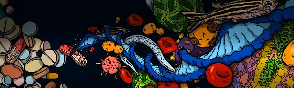 Biochemistry Banner by Megan Okada v3