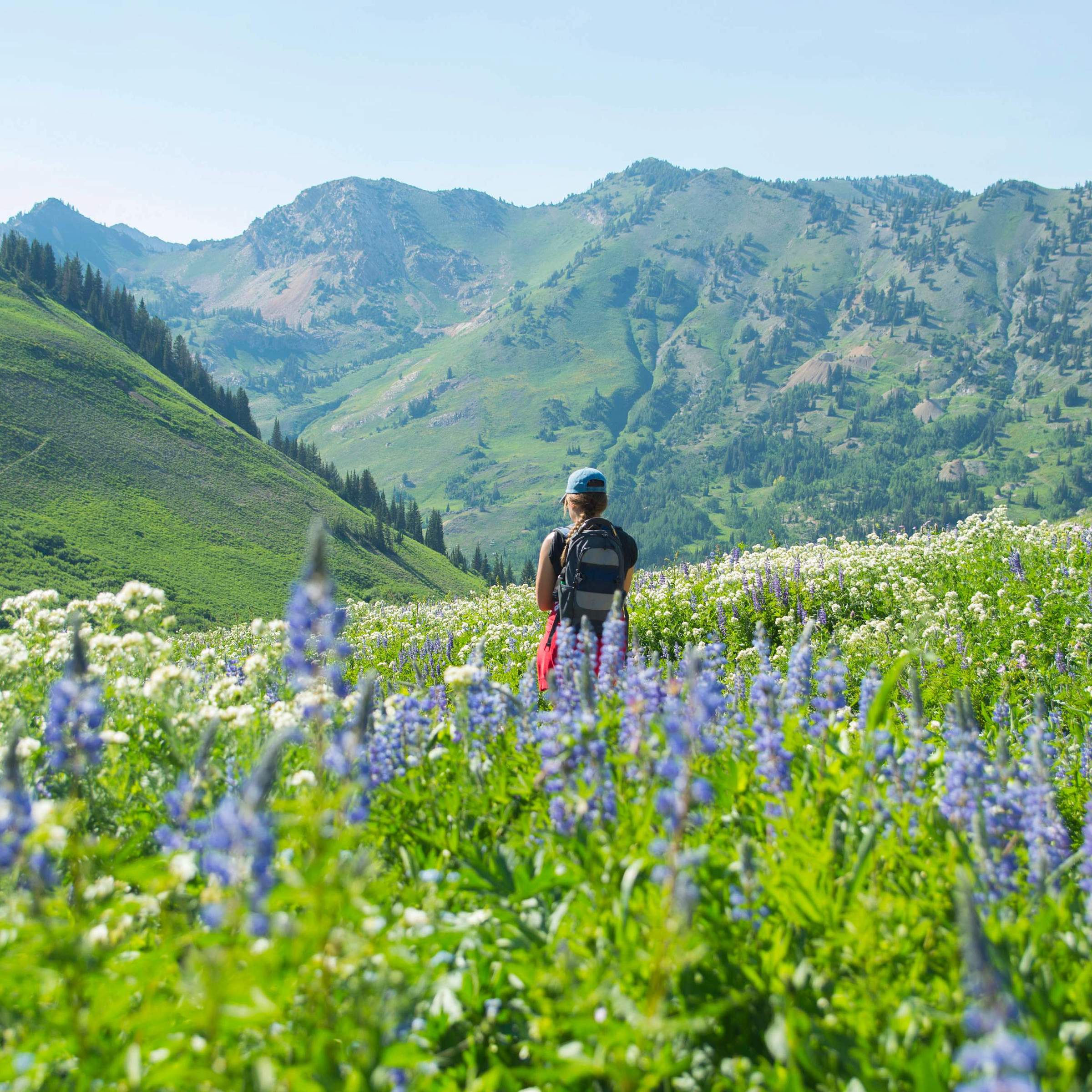 Albion Basin Getty Image