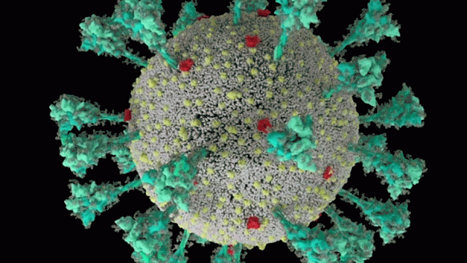  External link: (https://www.nature.com/articles/d41586-021-02039-y)