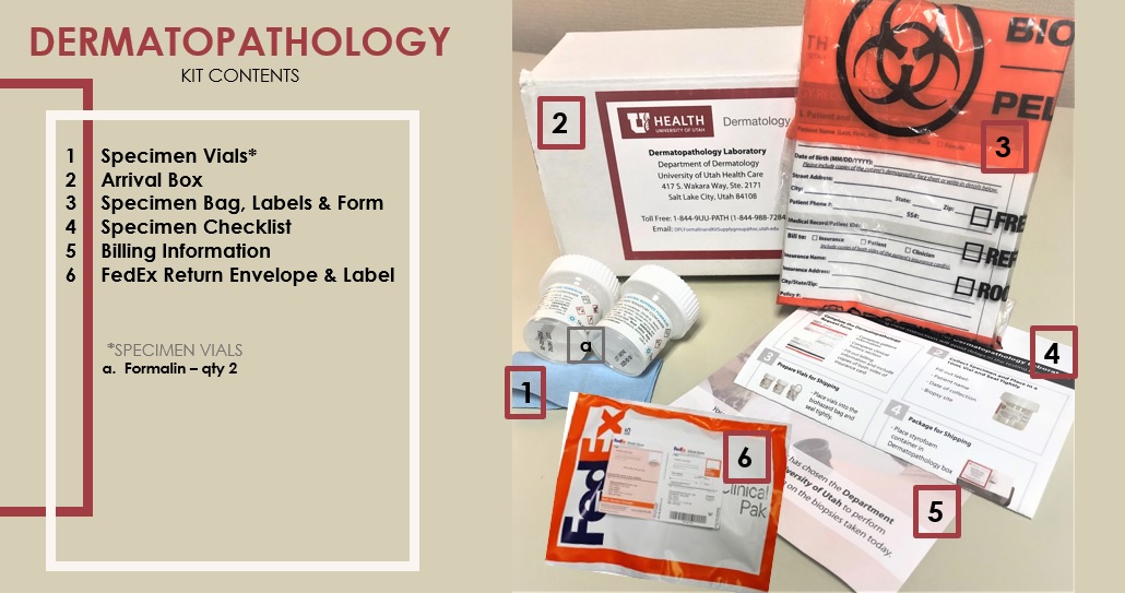 dermatopathology kit contents