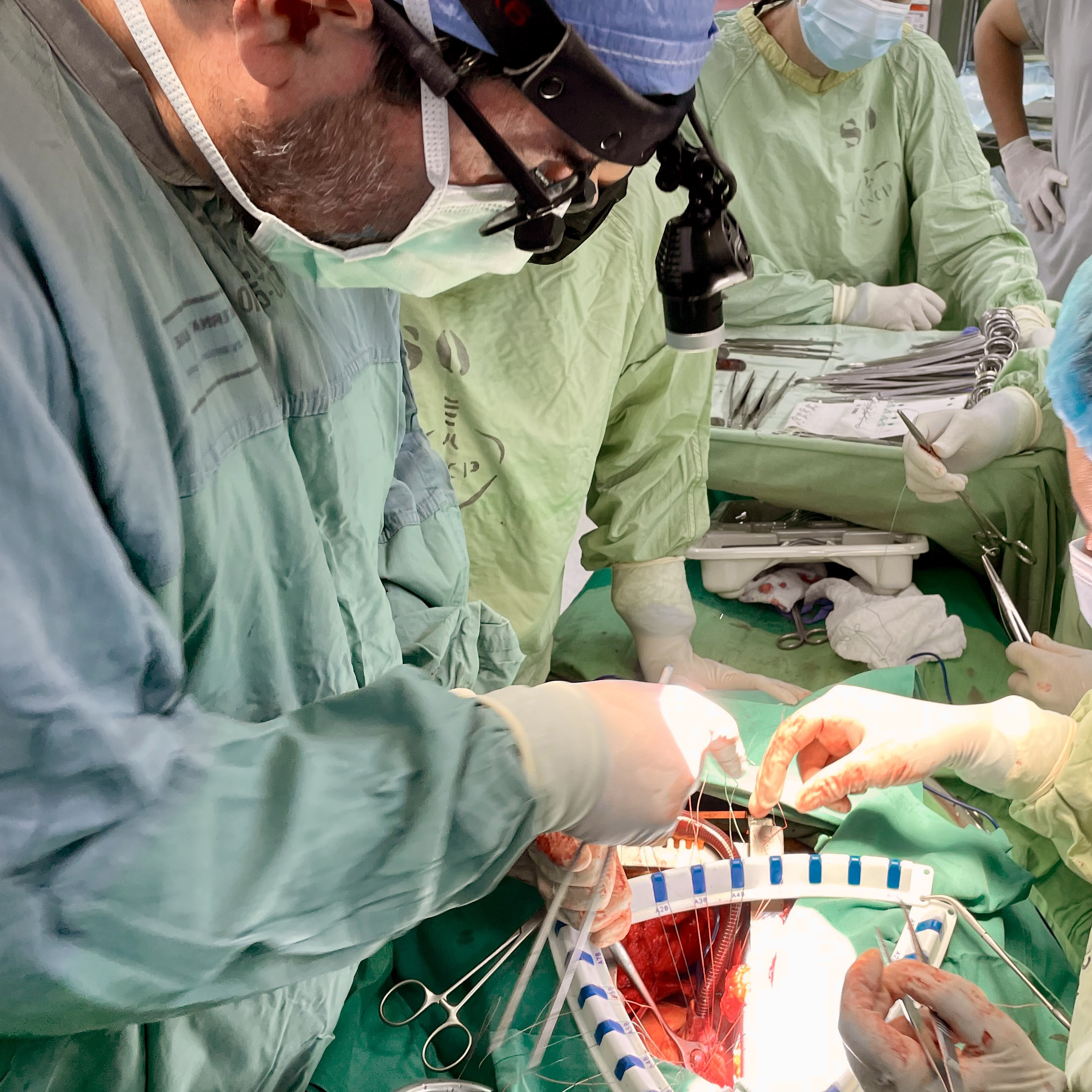 Dr. Selzman