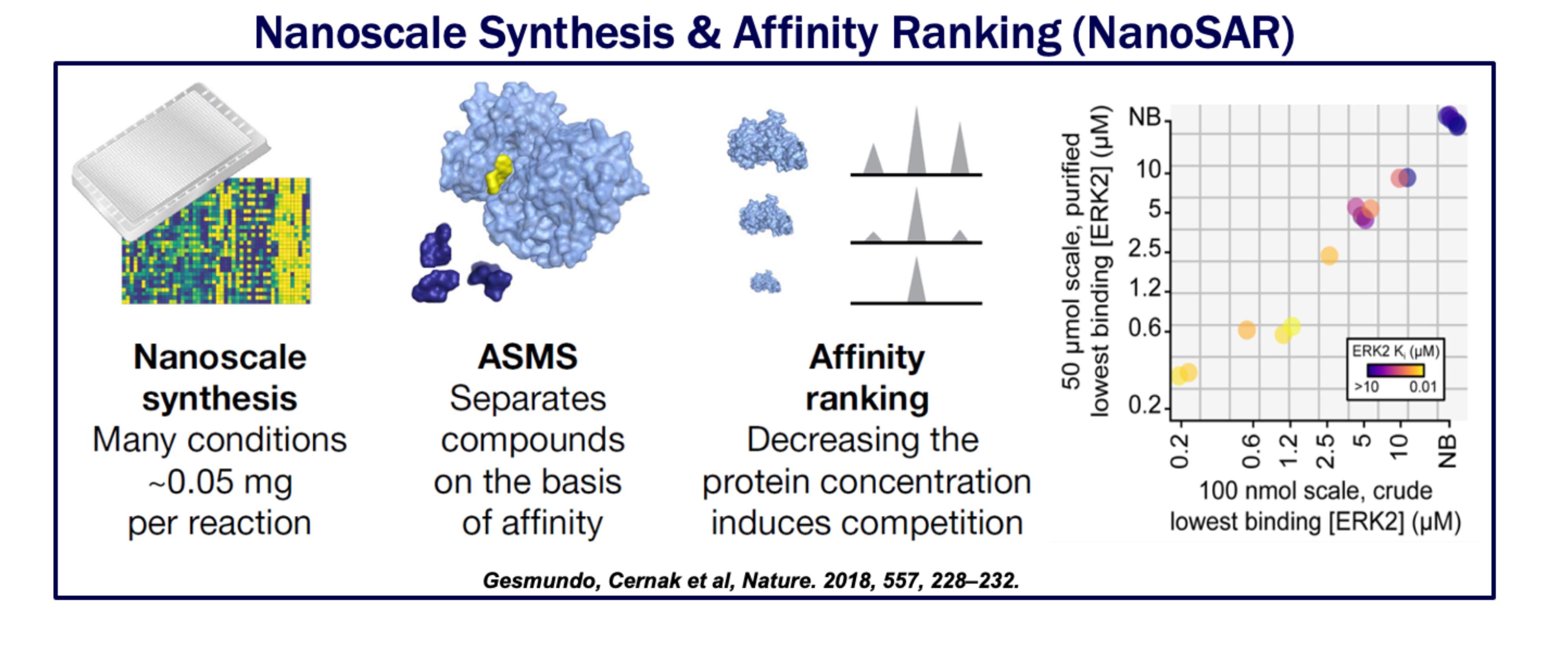 NanoSAR stands for nanoscale synthesis and affinity ranking and is a rapid way to synthesize small molecules and rapidly rank their ability to bind the receptor of interest using high throughput experimentation.