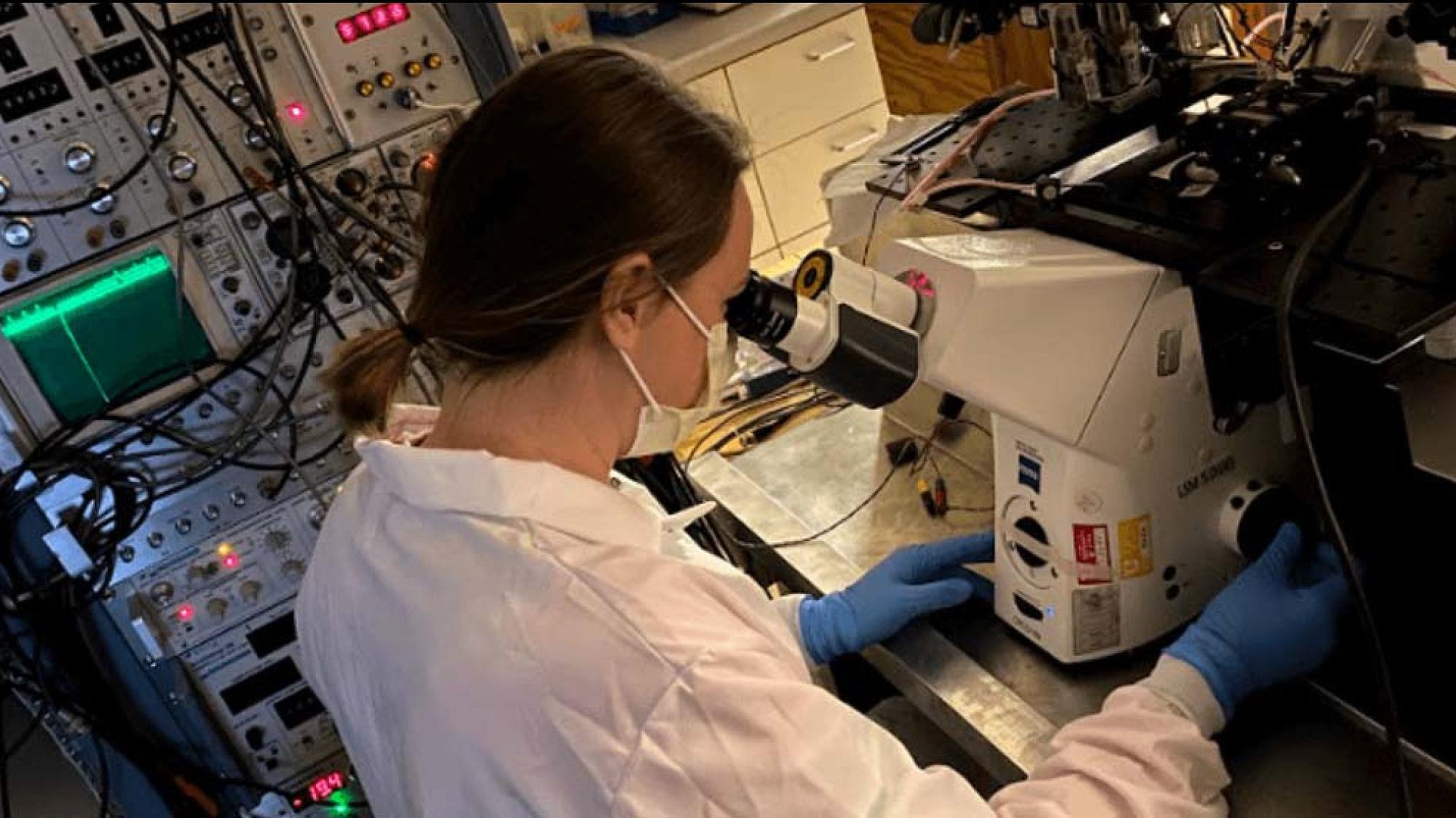CVRTI researcher looks through microscope