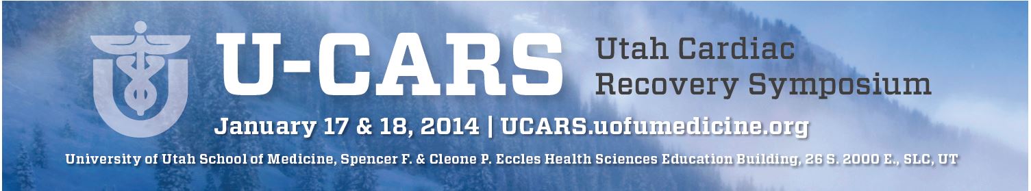 U-CARS 2014 header image