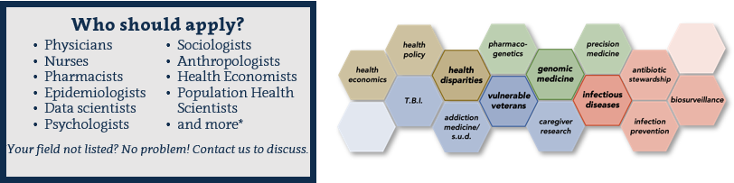 HSR Fellowship Overview Image