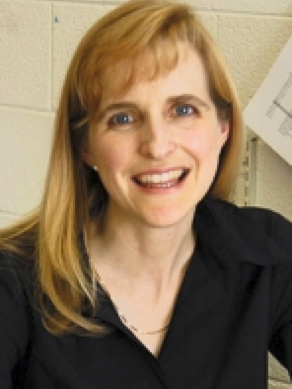 Kristina Lisa Allen-Brady, PhD, MSPH, BA, MPT