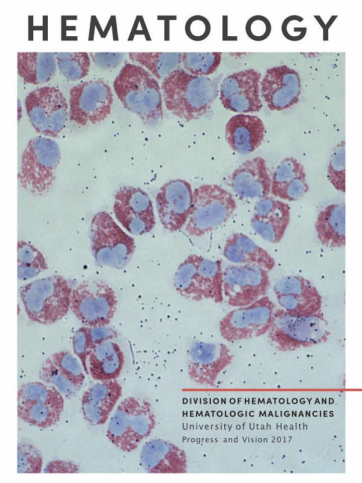 Hematology Bi-Annual Report 2017