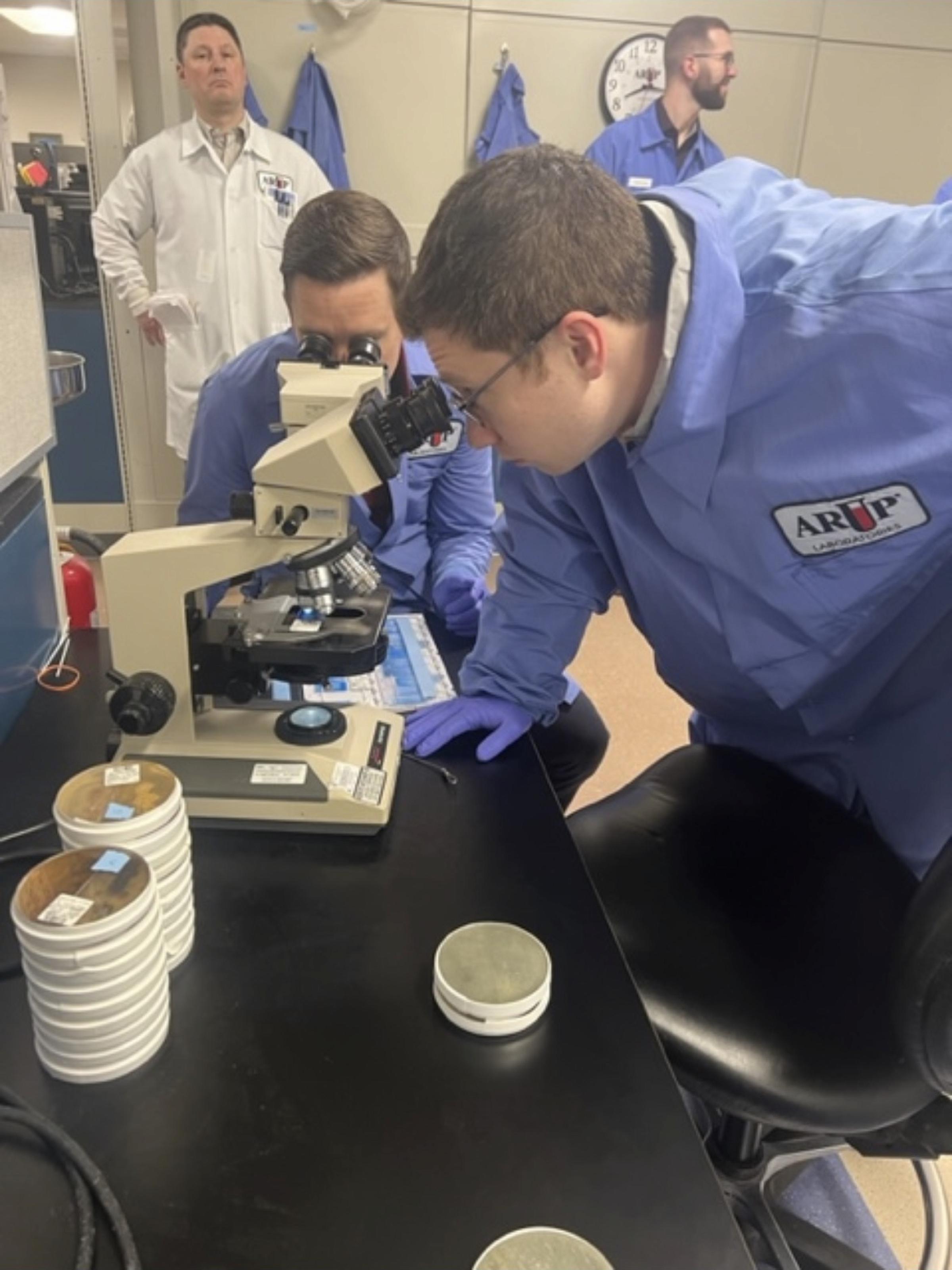 lab