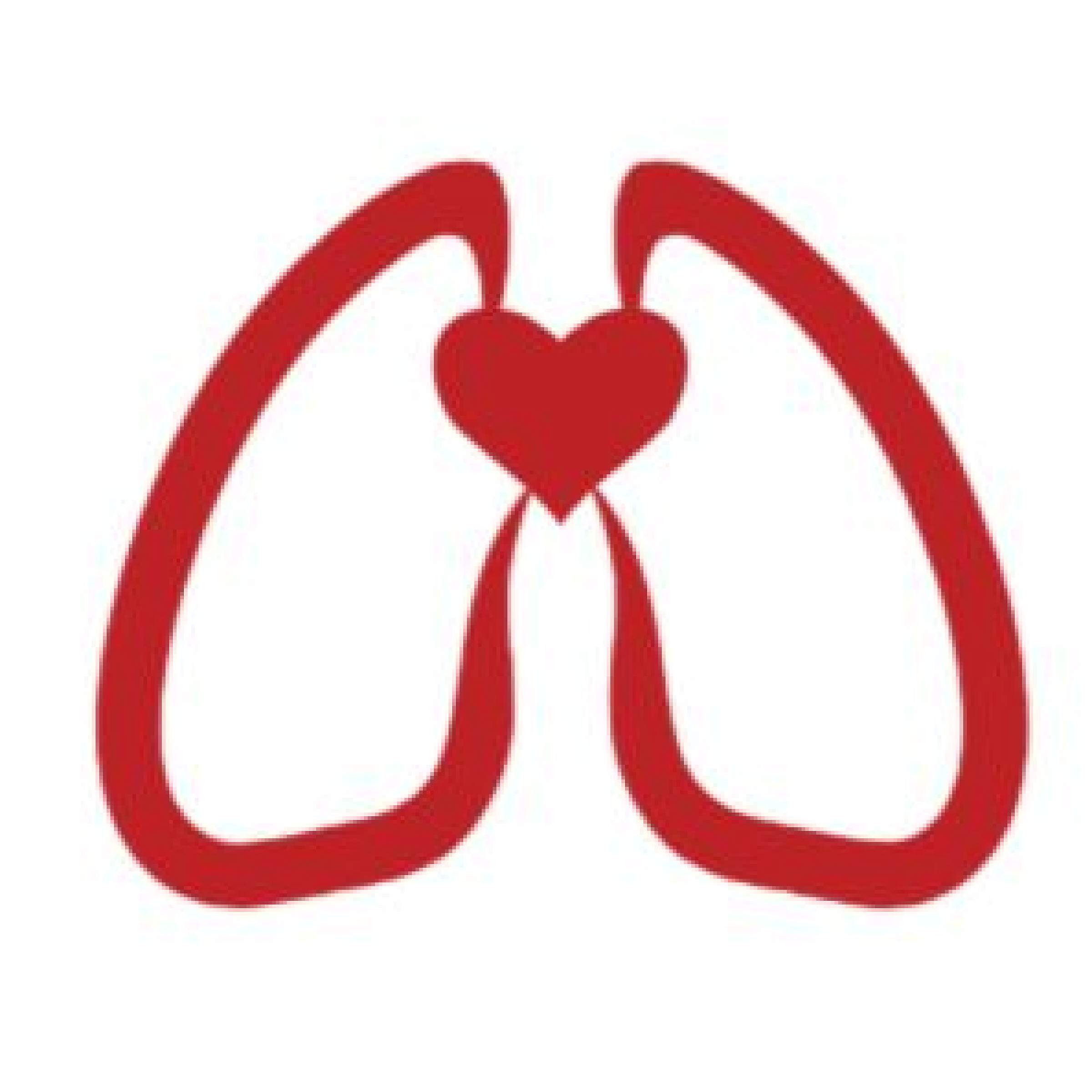 U-CARS logo