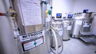 cryorepository