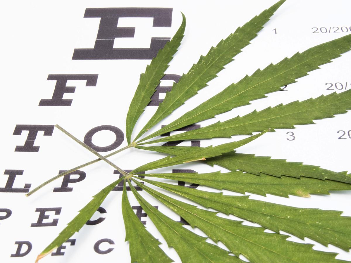 Image of a marijuana leaf on an eye exam chart.