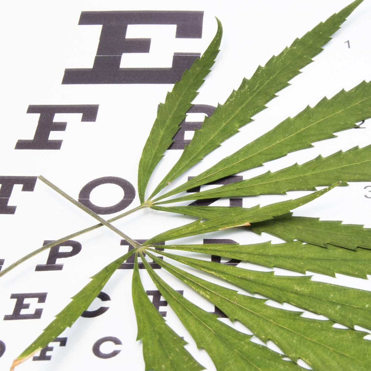 Marijuana leaf over an eye chart.