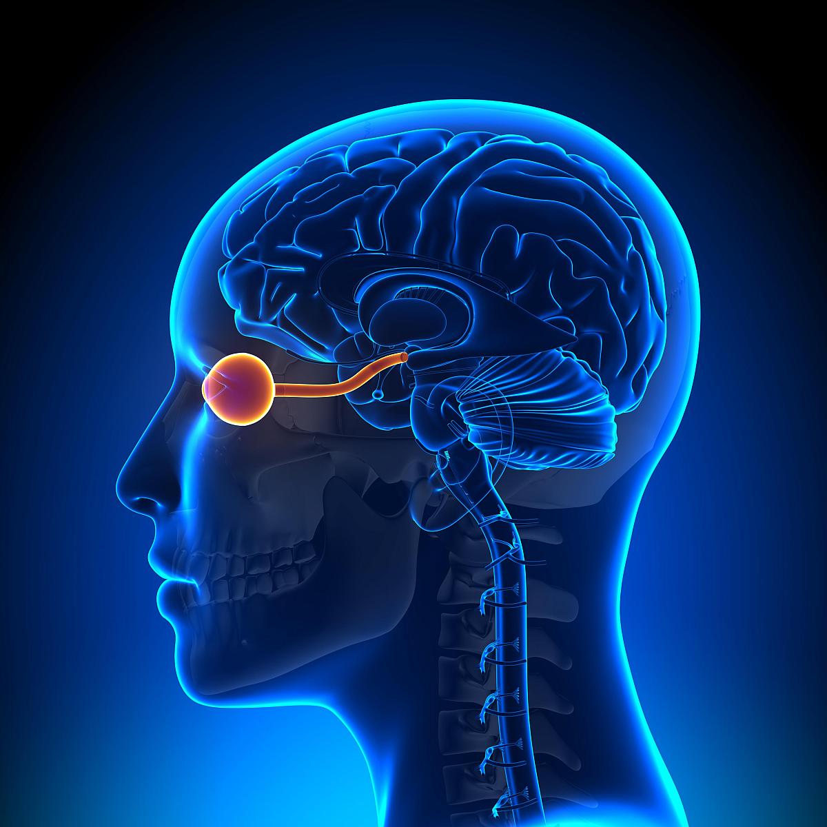 Glaucoma Center Neuroprotection Therapies initiative