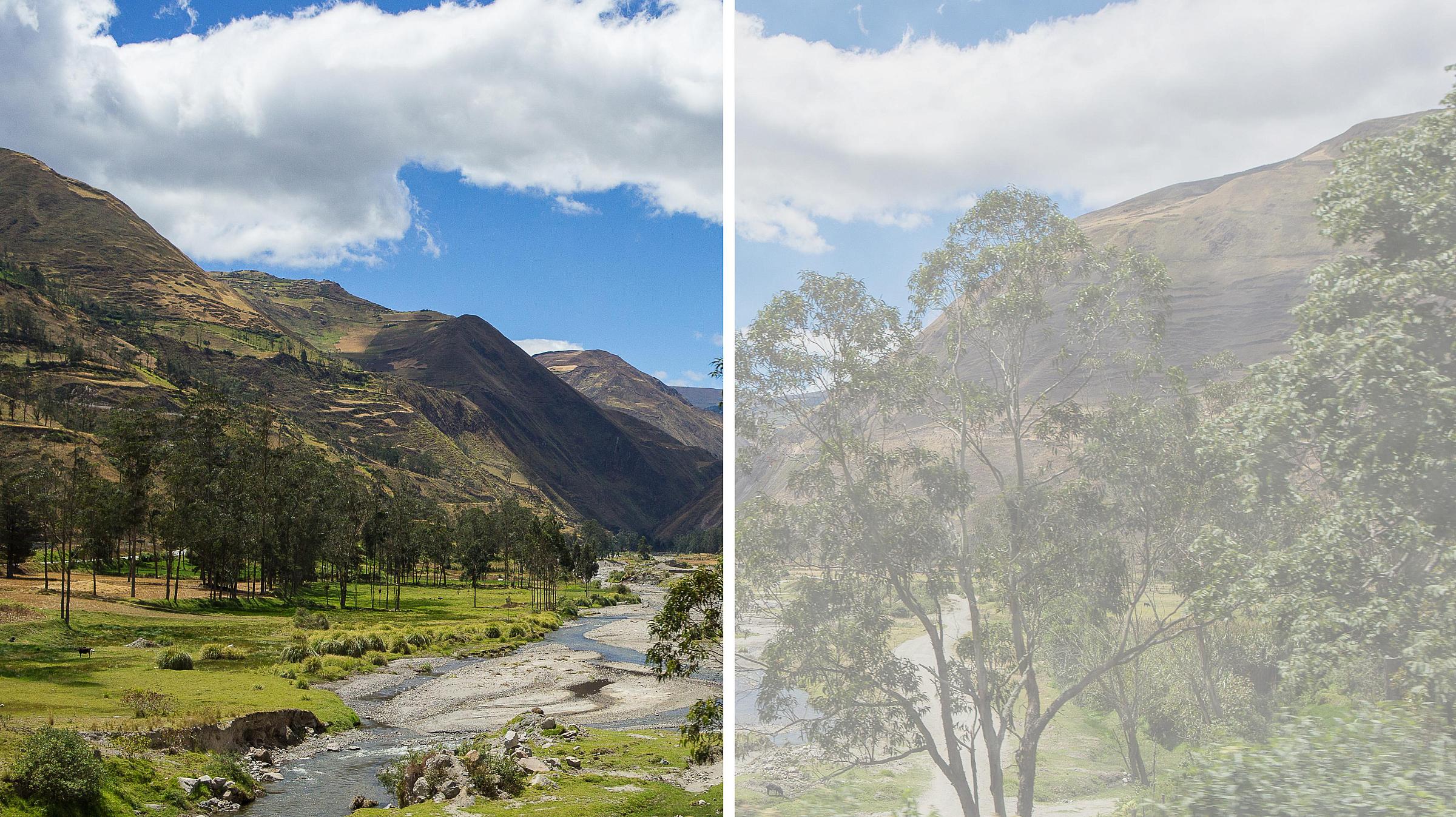 What vision might look like with and without cataracts.
