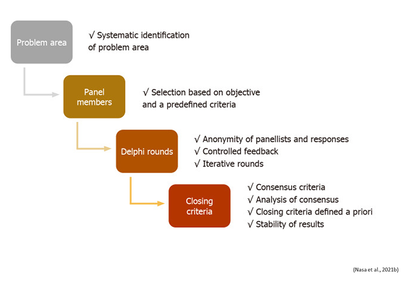 PHEP Modified Delphi Process