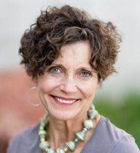 Sonja N. Van Hala, MD, MPH, DipABLM, FAAFP