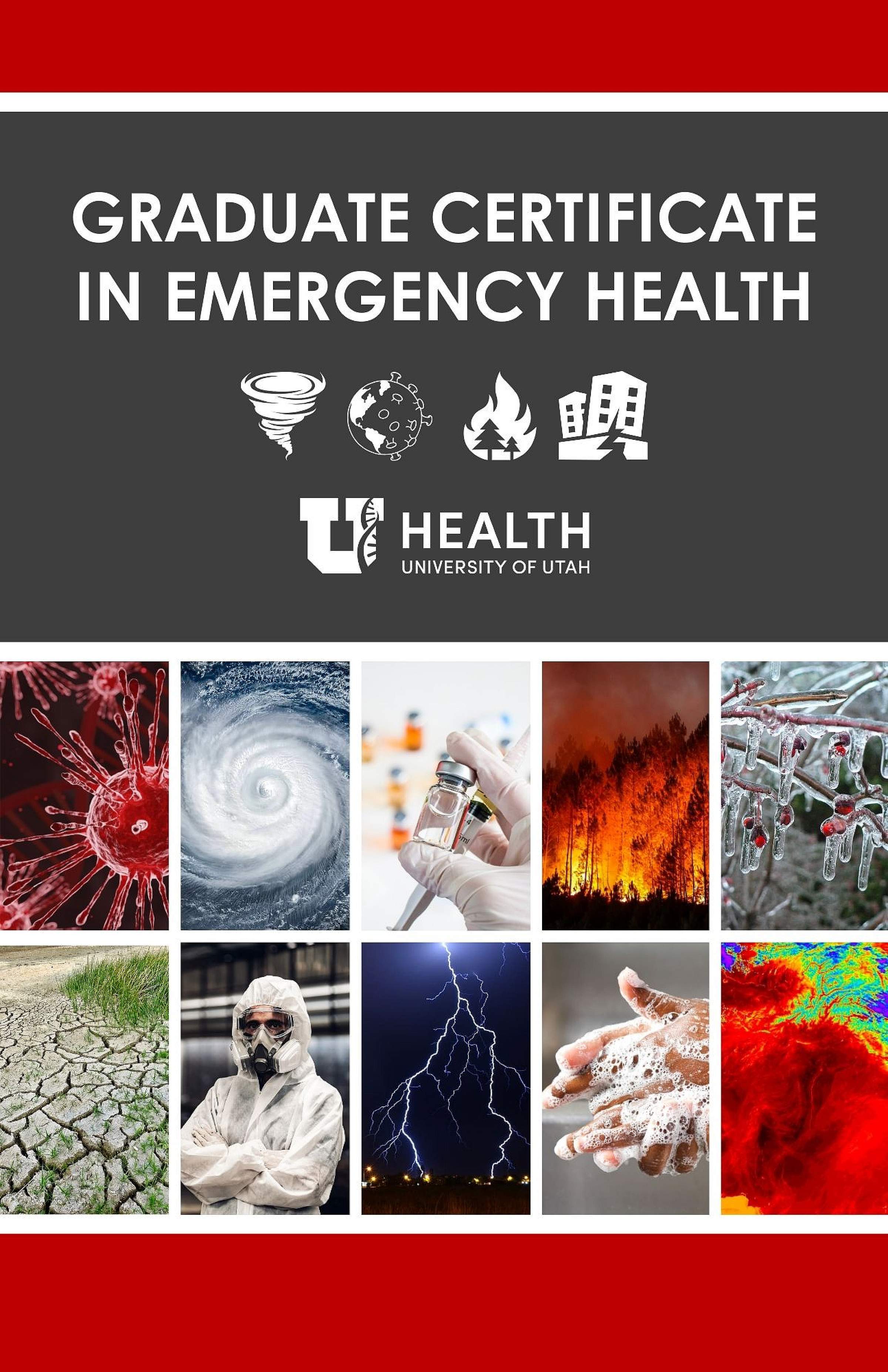 Emergency Health Certificate