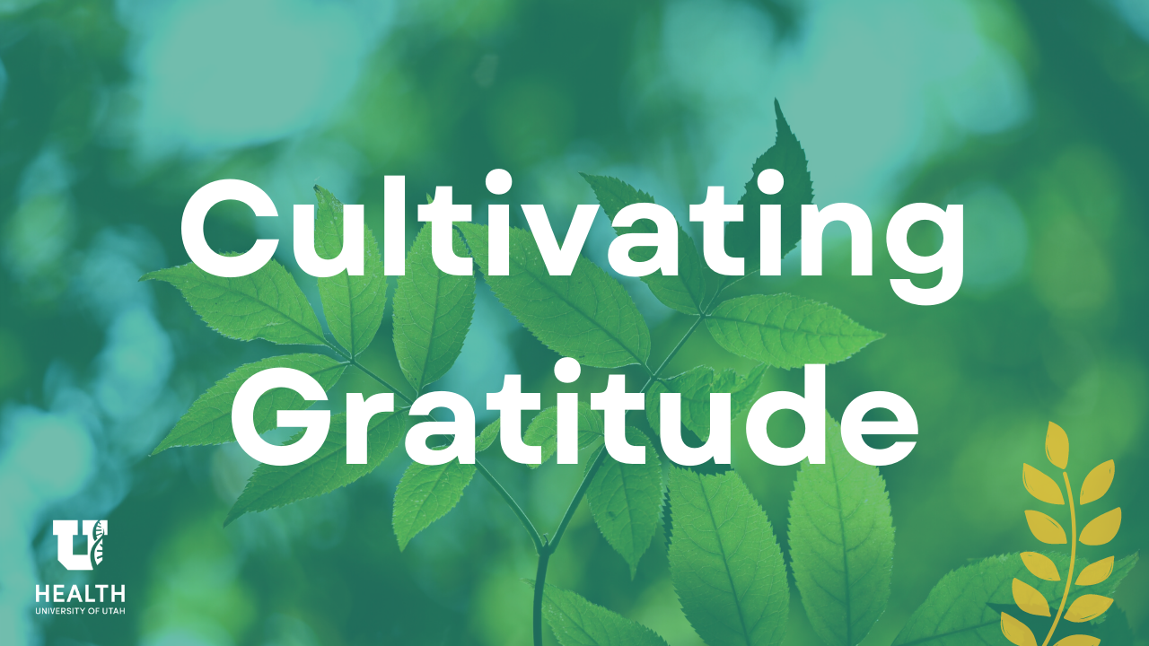 Cultivating Gratitude Thumbnail