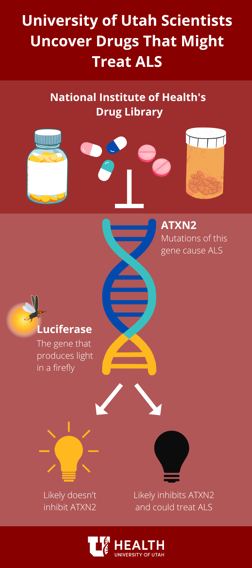 ALS Infographic