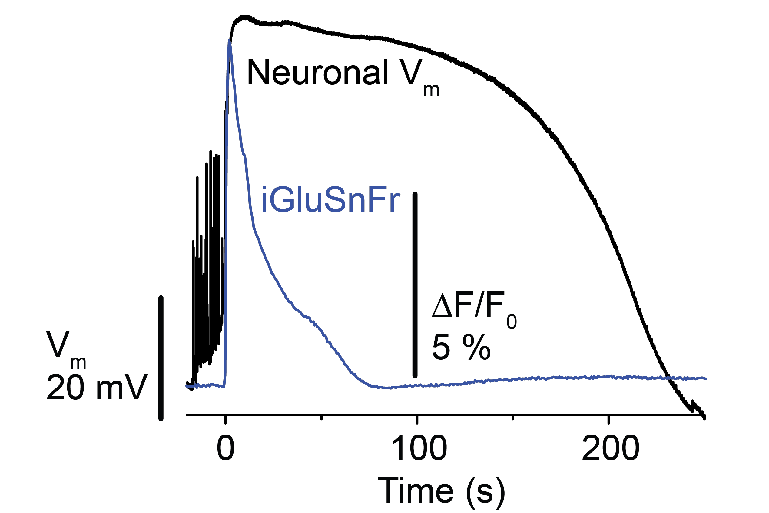 Headache Physiology Figure