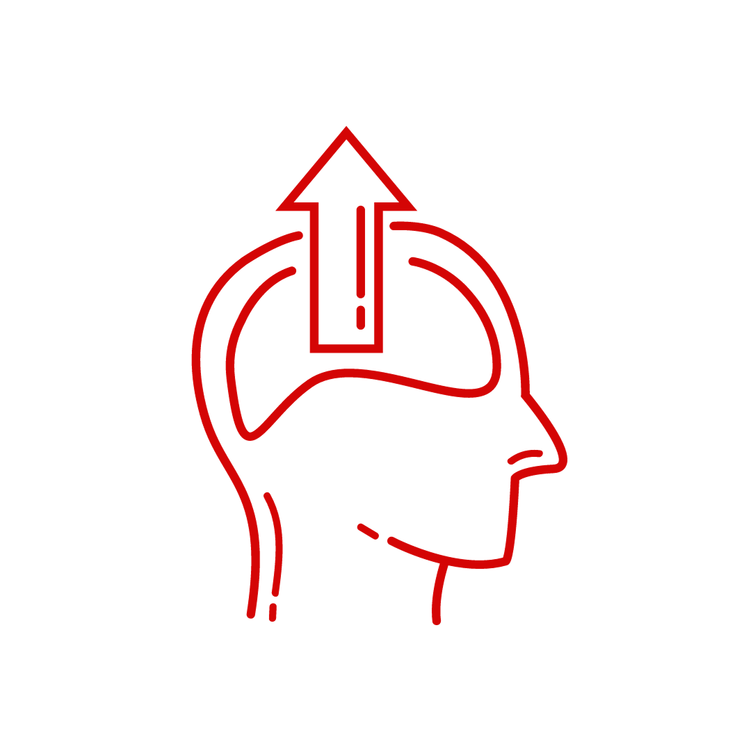 PACT Icon