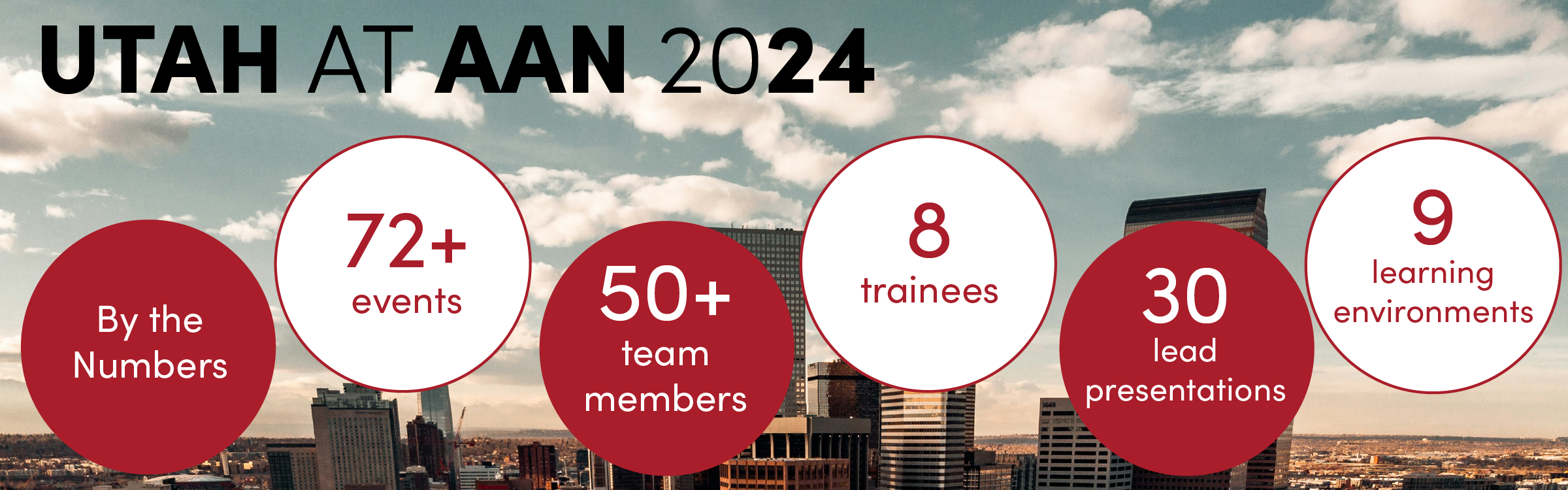 AAN 2024 by the Numbers