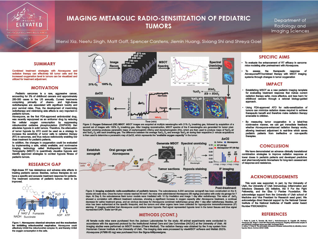 Wenxi Xia 2023 IE Poster