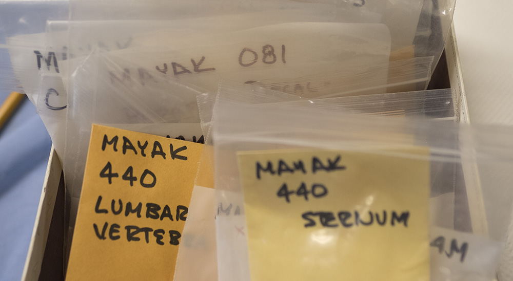 Mayak tissue samples