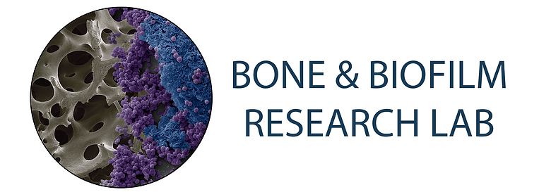 Bone & Biofilm Research Lab