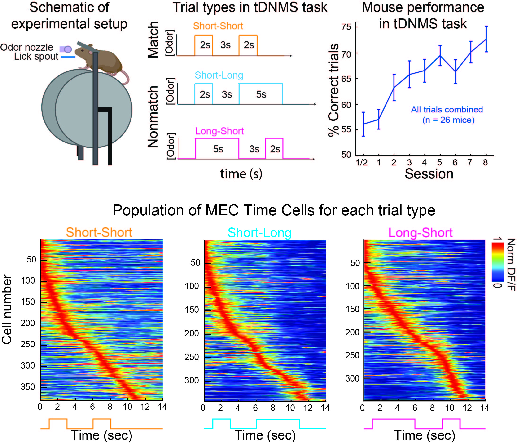 Heys Nature Neuroscience Paper June 2024
