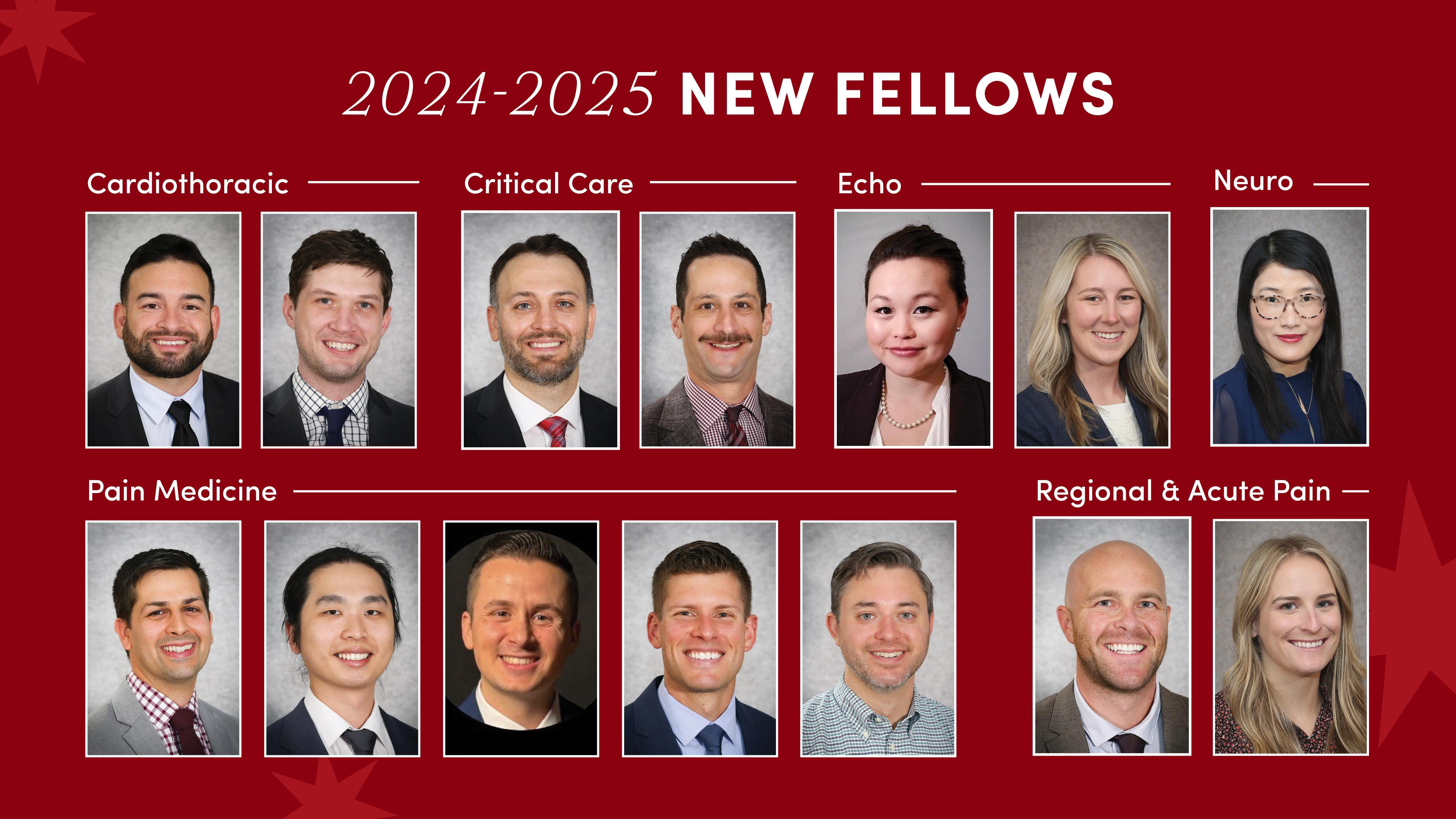 A composite of the Department of Anesthesiology's 2024-2025 fellows.