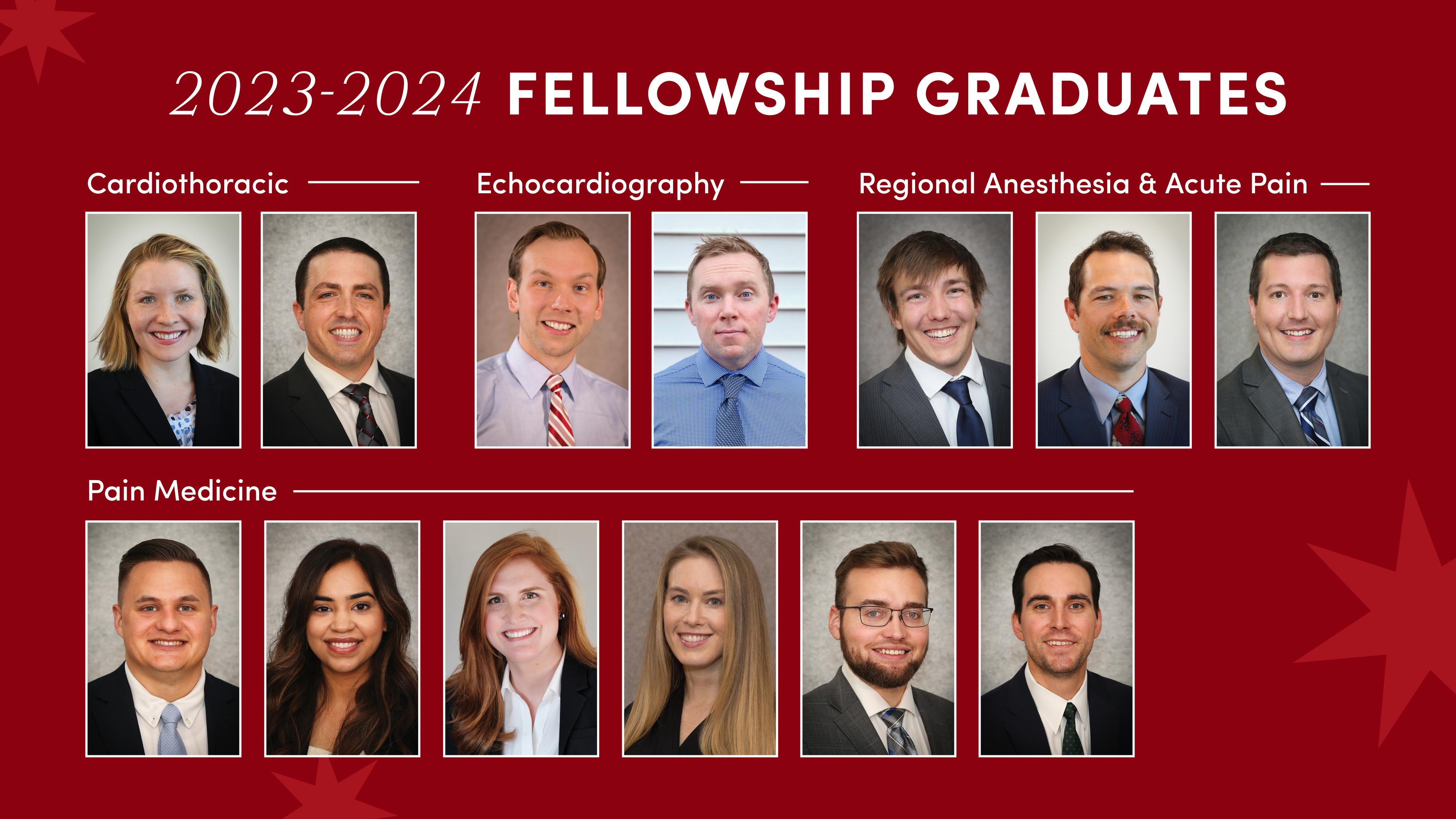 A composite of the 2023-2024 fellowship graduates from the department. 