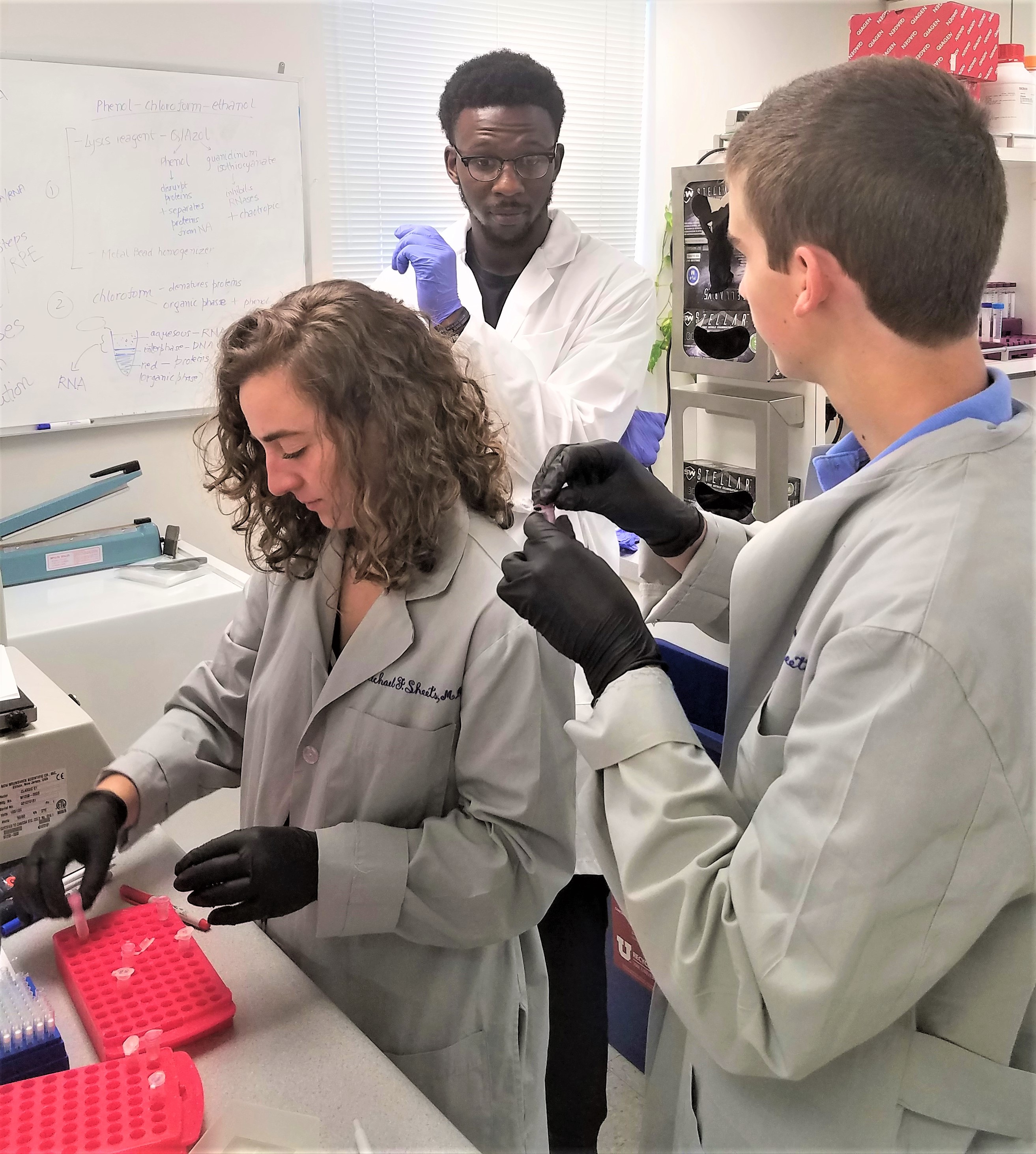 GSRM researchers working together in lab