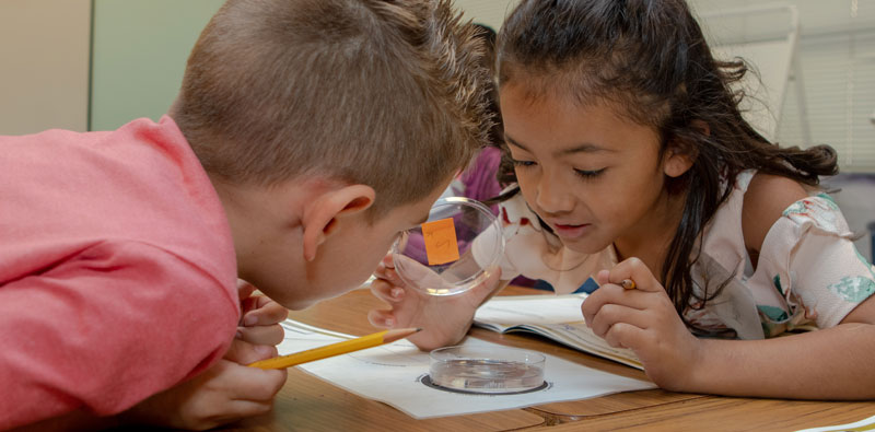 children looking at petri dish