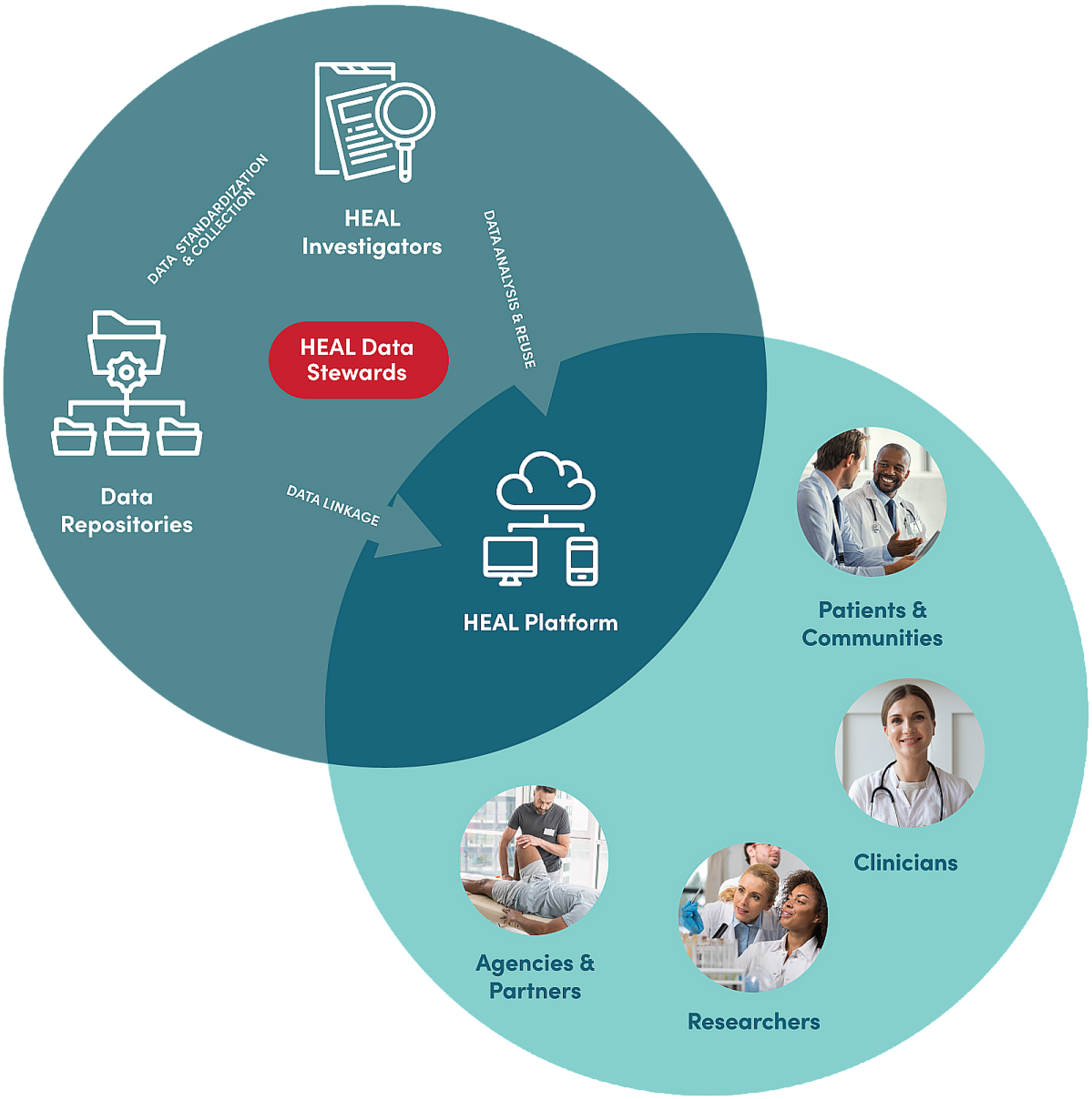 Data Harmonization Diagram