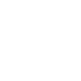 leadership icon
